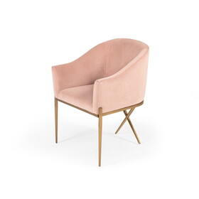 Modrest Mancos Modern Pink Velvet Accent Chair B04961542