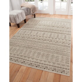 AmbIvory, Brown, and Natural Area Rug 5x8 B05569611