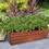 Rectangular Metal Flower Planter Box with Embossed Line Design, Large, Copper B05691111