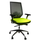 Adjustable Mesh Back Ergonomic Office Swivel Chair with Padded Seat and Casters, Green and Gray B05691157