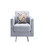 Lewa 34 inch Modern Accent Armchair, Silver Metal Legs, Tufted, Light Gray B056P204696