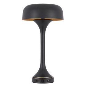 Emma 22 inch Modern Desk Lamp, 2 USB, 1Type C Charging Port, Dark Bronze B056P214826