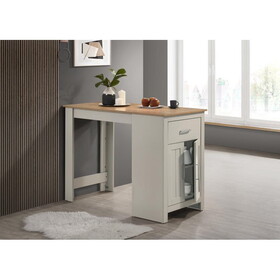 Alonzo Light Gray Small Space Counter Height Dining Table with Cabinet and Drawer Storage B061110681