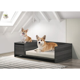 Esme ash Gray 47" Wide Modern Comfy Pet Bed with Cushion and Side Storage Compartment B061110706
