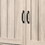 Corby Dusty Gray Oak Finish 3-Door Shoe Cabinet B061110713