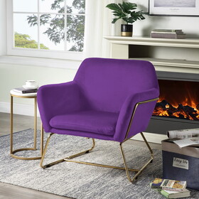 Keira Purple Velvet Accent Chair with Metal Base B06178009