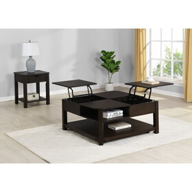Flora 2 Piece Dark Brown MDF Lift Top Coffee and End Table Set B061S00634