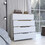 Lynbrook 4-Drawer Dresser White and Light Oak B06280070