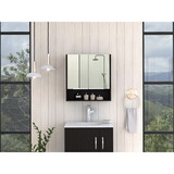Manchester Rectangle Medicine Cabinet with Mirror Black Wengue B06280341