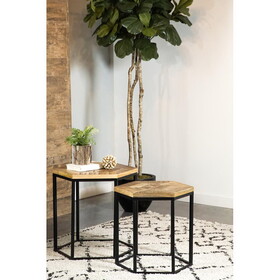 Tacoma Natural and Black 2-Piece Nesting Table B062P153599