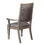 Paramount Metallic Platinum and Metallic Open Back Arm Chair (Set of 2) B062P153685