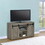 Corvallis Grey Driftwood 48-inch TV Console with 2 Sliding Doors B062P153852