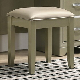 Xenia Champagne Vanity Stool with Padded Seat B062P153875