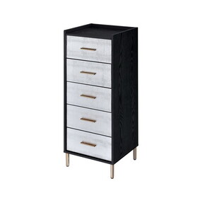 Black and Silver 4-drawer Jewelry Armoire with Lift-top B062P181349