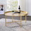 Oak and Gold Coffee Table with Tray Top B062P181359