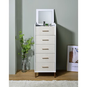 White, Champagne and Gold 4-drawer Jewelry Armoire with Lift-top B062P185656
