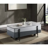 Grey and White High Gloss Coffee Table with Lift Top B062P209130