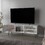 White TV Stand Multistorage with a Door and Open Storage B062P290224