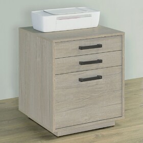 Loomis Whitewashed Grey 3-Drawer Home Office File Cabinet B062P344974