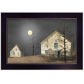 Trendy Decor 4U "Still of the Night" Framed Wall Art, Modern Home Decor Framed Print for Living Room, Bedroom & Farmhouse Wall Decoration by Billy Jacobs B06785209