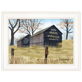 "Treat Yourself" (Mail Pouch Barn) by Billy Jacobs, Ready to Hang Framed Print, White Frame B06785343