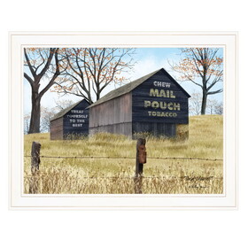 "Treat Yourself" (Mail Pouch Barn) by Billy Jacobs, Ready to Hang Framed Print, White Frame B06785345