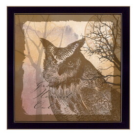 "Owl" by Barb Tourtillotte, Printed Wall Art, Ready to Hang Framed Poster, Black Frame B06785642