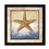 "Starfish" by Ed Wargo, Printed Wall Art, Ready to Hang Framed Poster, Black Frame B06785842