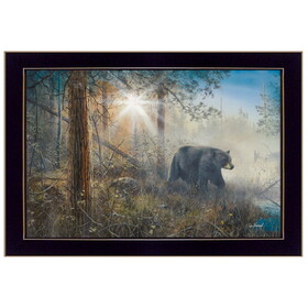 "Shadow in the Mist" by Jim Hansen, Printed Wall Art, Ready to Hang Framed Poster, Black Frame B06785886