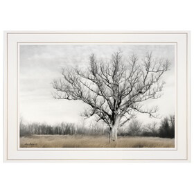 "Earth & Sky" by Lori Deiter, Ready to Hang Framed Print, White Frame B06786005