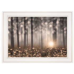 "Enchanted Morning" by Lori Deiter, Ready to Hang Framed Print, White Frame B06786007