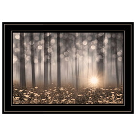 "Enchanted Morning" by Lori Deiter, Ready to Hang Framed Print, Black Frame B06786008