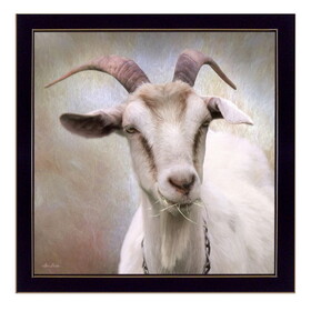 "Up Close Goat" by Lori Deiter, Printed Wall Art, Ready to Hang Framed Poster, Black Frame B06786056