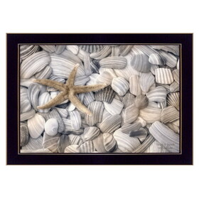 "Starfish and Seashell" by Lori Deiter, Printed Wall Art, Ready to Hang Framed Poster, Black Frame B06786062
