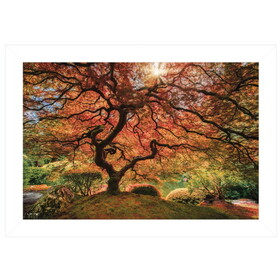 "First Colors of Fall I" by Moises Levy, Ready to Hang Framed Print, White Frame B06786079