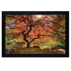 "First Colors of Fall" by Moises Levy, Ready to Hang Framed Print, Black Frame B06786080