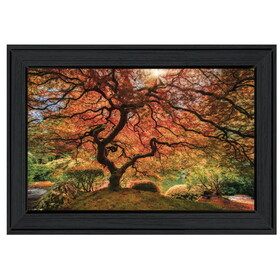 "First Colors of Fall I" by Moises Levy, Ready to Hang Framed Print, Black Frame B06786081
