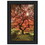 "First Colors of Fall II" by Moises Levy, Ready to Hang Framed Print, Black Frame B06786083