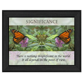 "Significance" by Trendy Decor4U, Printed Wall Art, Ready to Hang Framed Poster, Black Frame B06786369