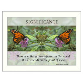 "Significance" by Trendy Decor4U, Printed Wall Art, Ready to Hang Framed Poster, White Frame B06786370