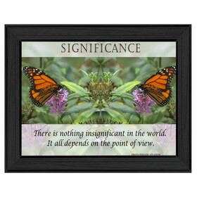 "Significance" by Trendy Decor4U, Printed Wall Art, Ready to Hang Framed Poster, Black Frame B06786371