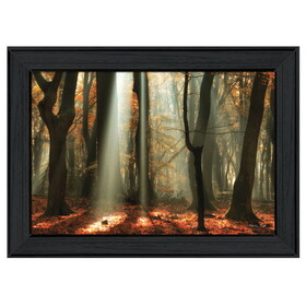 "Beam Me Up" by Martin Podt, Printed Wall Art, Ready to Hang Framed Poster, Black Frame B06786516