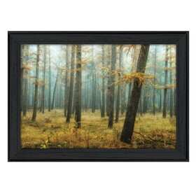 "Holterberg in the Mist" by Martin Podt, Printed Wall Art, Ready to Hang Framed Poster, Black Frame B06786517