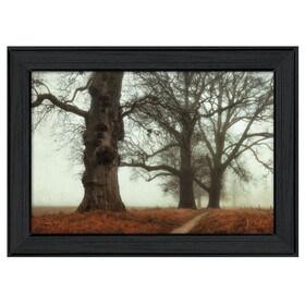 "Misty Trees" by Martin Podt, Printed Wall Art, Ready to Hang Framed Poster, Black Frame B06786518