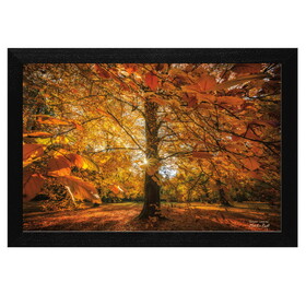 "Autumn Leaves" by Martin Podt, Ready to Hang Framed Print, Black Frame B06786523