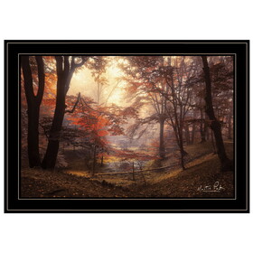 "The Pool" by Martin Podt, Ready to Hang Framed Print, Black Frame B06786525