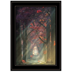 "Path of Happiness" by Martin Podt, Ready to Hang Framed Print, Black Frame B06786533
