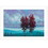 "Two Red Trees" by Tim Gagnon, Ready to Hang Framed print, White Frame B06786726