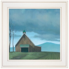"Lonesome Barn" by Tim Gagnon, Ready to Hang Framed print, White Frame B06786734