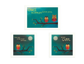 "Owls II Collection" 3-Piece Vignette by Marla Rae, Printed Wall Art, Ready to Hang Framed Poster, White Frame B06786778
